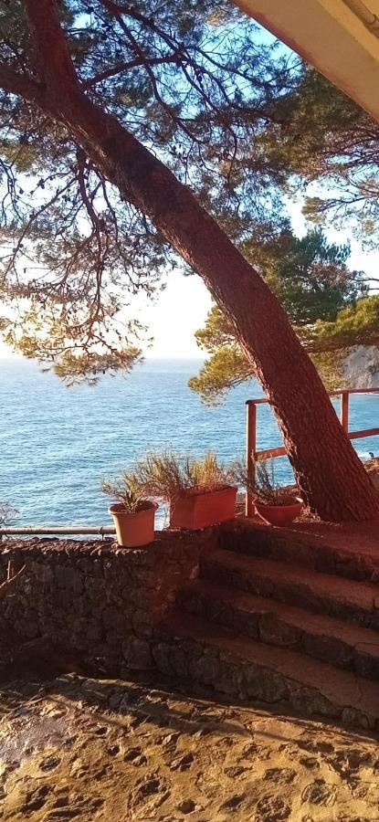 شقة Cinqueterre National Park Sea View فرامورا المظهر الخارجي الصورة