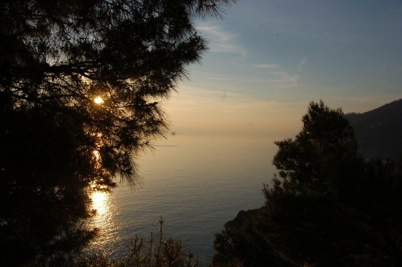 شقة Cinqueterre National Park Sea View فرامورا المظهر الخارجي الصورة